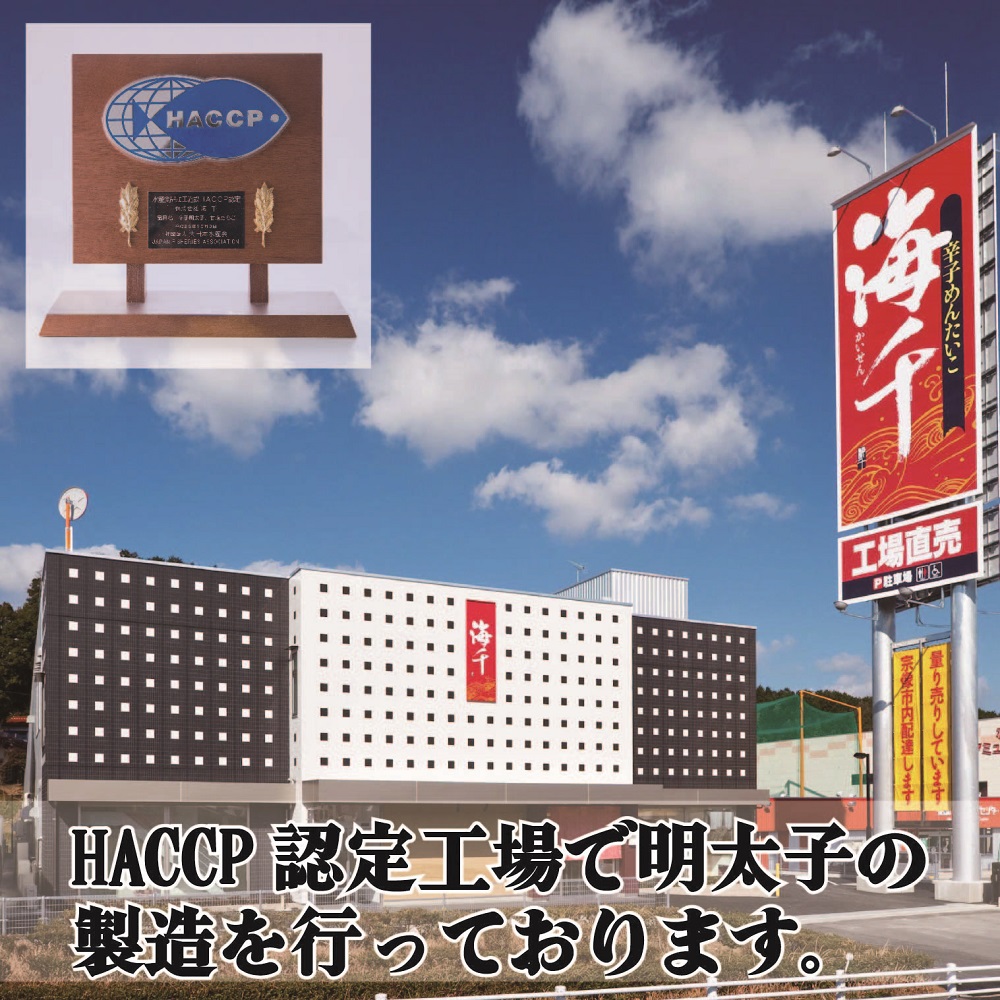 【送料無料】冷凍　肉肉うどんオリジナル　生姜明太子３個